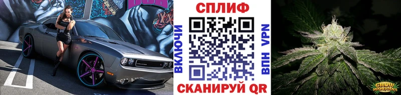 Бошки Шишки тримм  darknet как зайти  Наволоки 